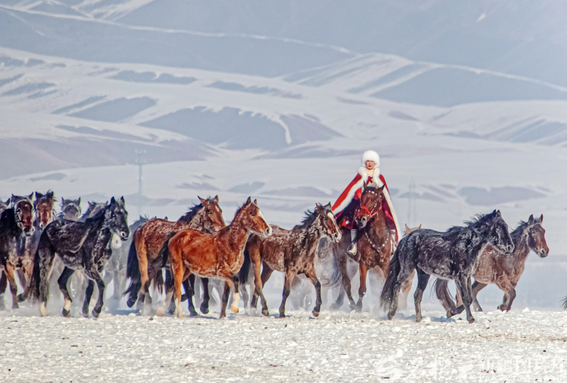 挚爱人间一抹红——追记实干为民的好干部贺娇龙