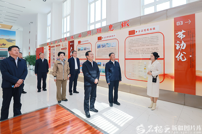 陈小江在哈密市伊吾县调研