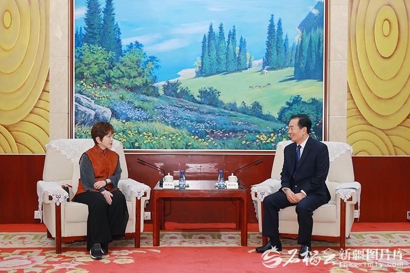 陈小江会见中国国民党前主席洪秀柱